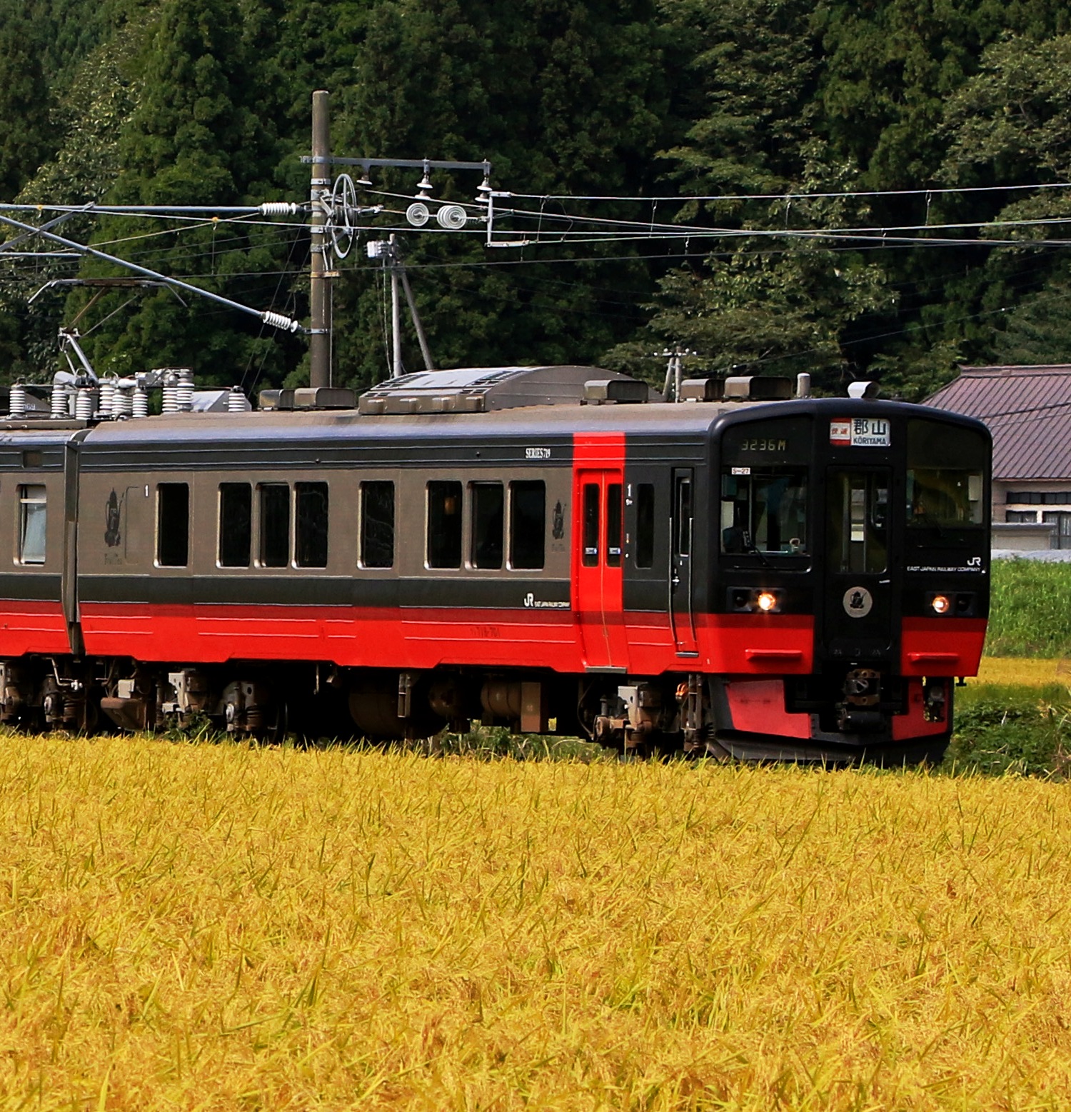 東日本旅客鉄道　フルーティアふくしまの画像