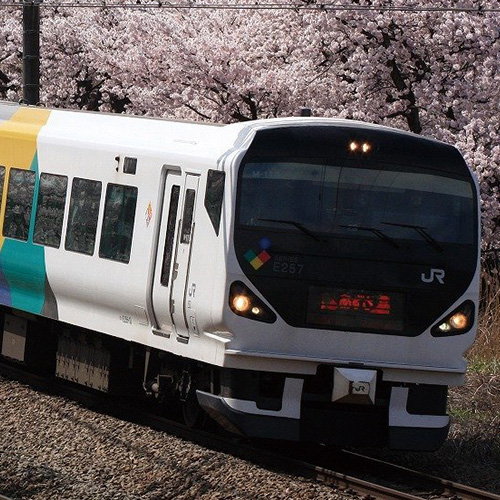 East Japan Railway Series E257の画像
