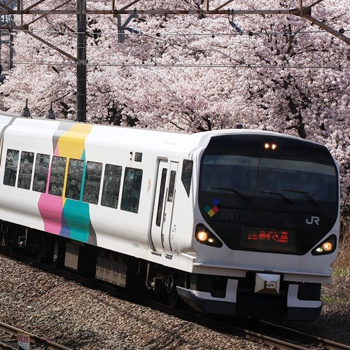 East Japan Railway Series E257の画像