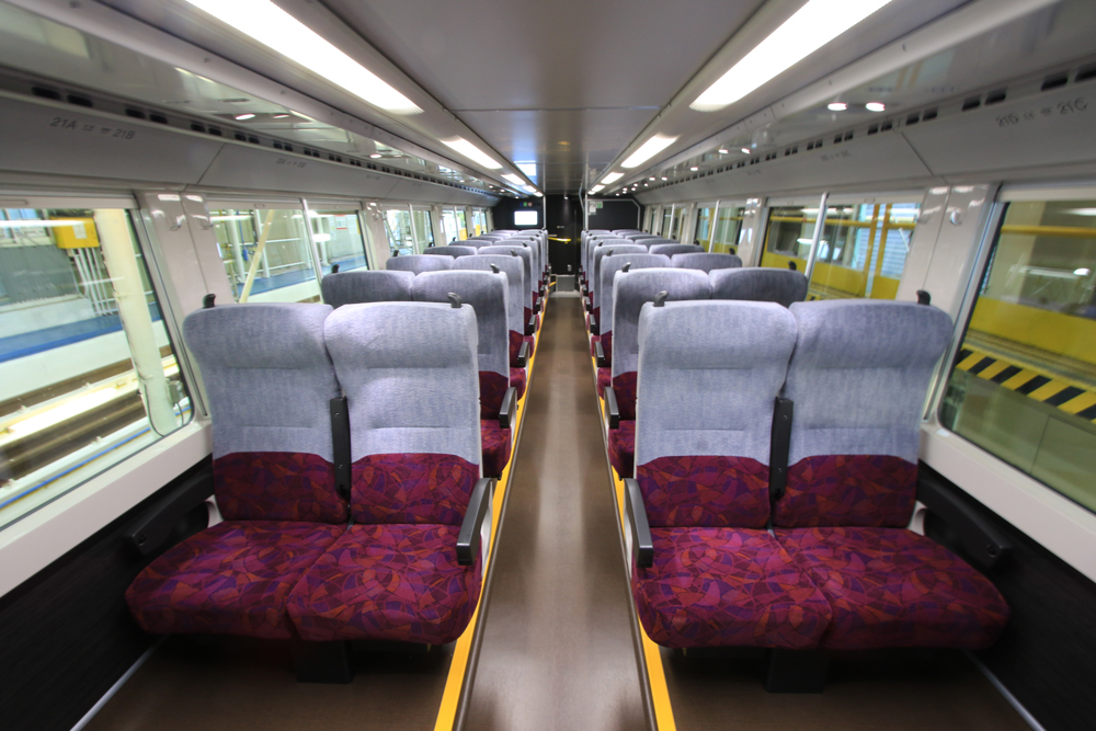 JR East Series E233  (Chuo Line)